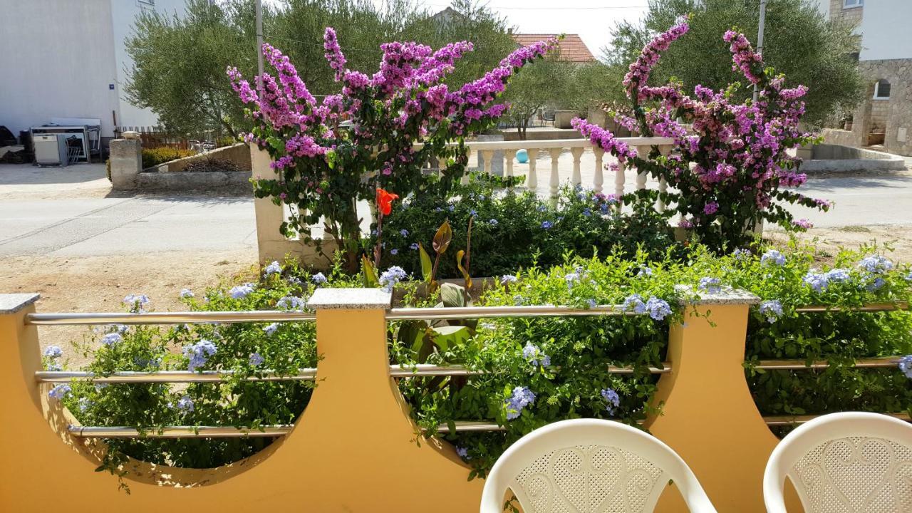 Marina Biograd Na Moru Exterior foto
